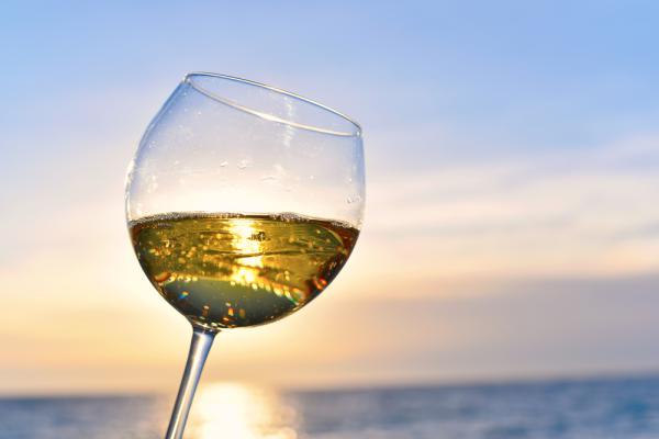 הטור הראשון של רייכרט בסרוגים: הגווירץ של העיירה