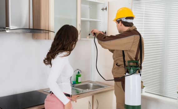 מה צריך לדעת לפני שאתם מזמינים מדביר?