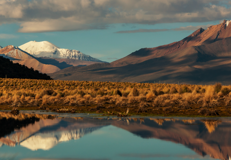 ישראלית מתה בטיול ממחלת גבהים