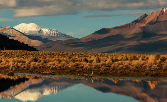 ישראלית מתה בטיול ממחלת גבהים