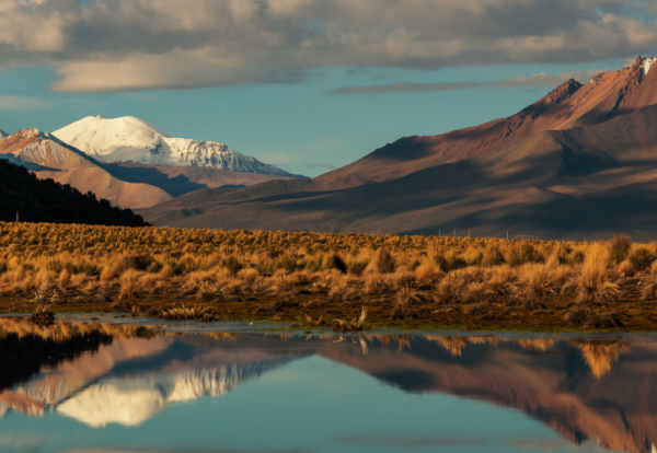 ישראלית מתה בטיול ממחלת גבהים