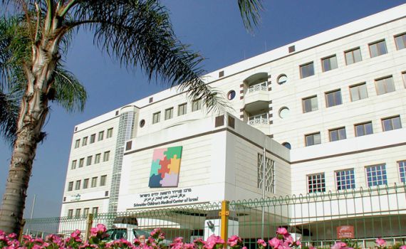 המלצות מומחי שניידר לקראת החורף