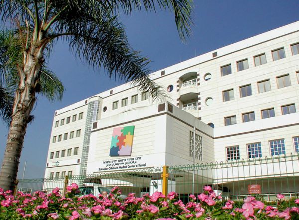 המלצות מומחי שניידר לקראת החורף