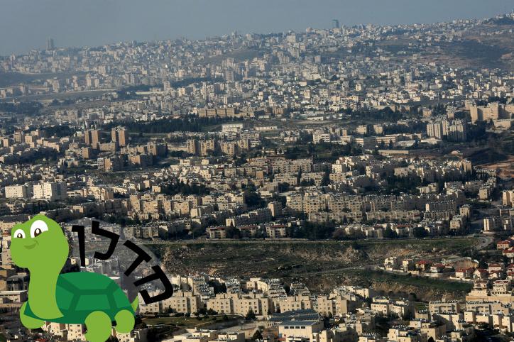 השכונות המבוקשות ביותר לשנת תשע"ו