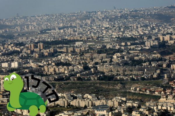 השכונות המבוקשות ביותר לשנת תשע"ו