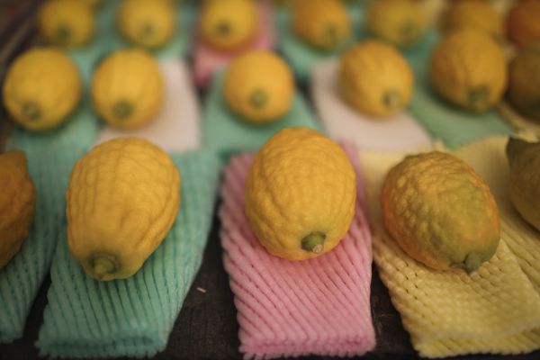 סכנת נפשות: אל תכינו ריבה מהאתרוגים שלכם