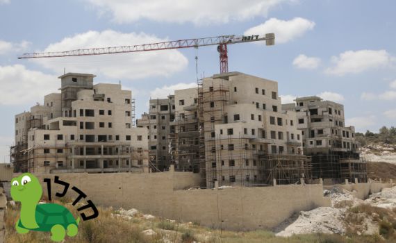 תמ"א 38: הנתונים המפתיעים שלא סיפרו לכם