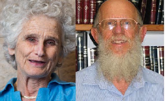 שלום לשמירת השבת: אמנת גביזון-מדן לאן?