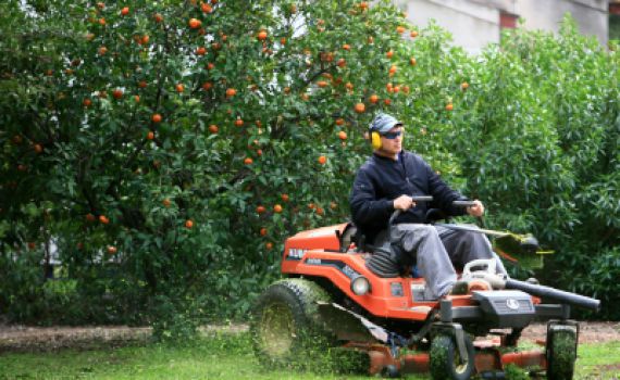 מה מותר, ובעיקר מה אסור לעשות בחול המועד? צפו