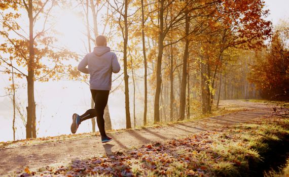 צעד למרתון: כתבה שנייה מיומנו של מכור ריצה