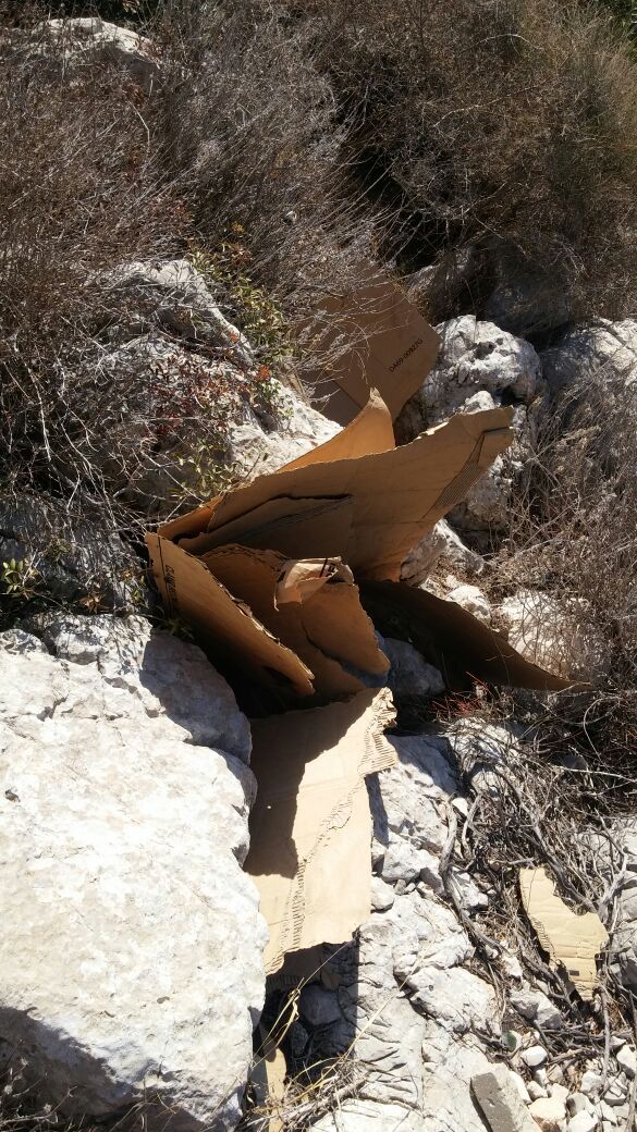 תלמידי הישיבה בחיפה תפסו על חם מוקד הצתה