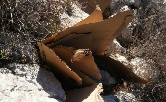 תלמידי הישיבה בחיפה תפסו על חם מוקד הצתה