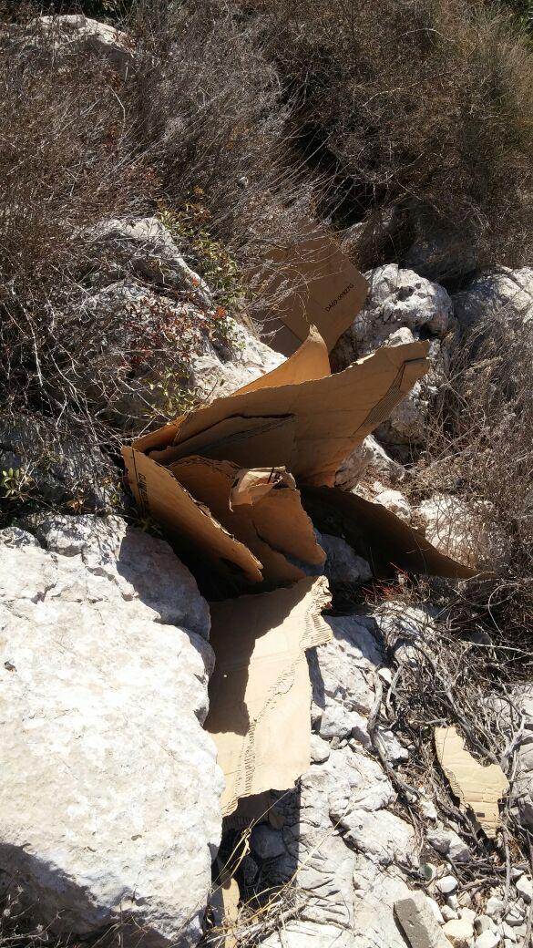 תלמידי הישיבה בחיפה תפסו על חם מוקד הצתה