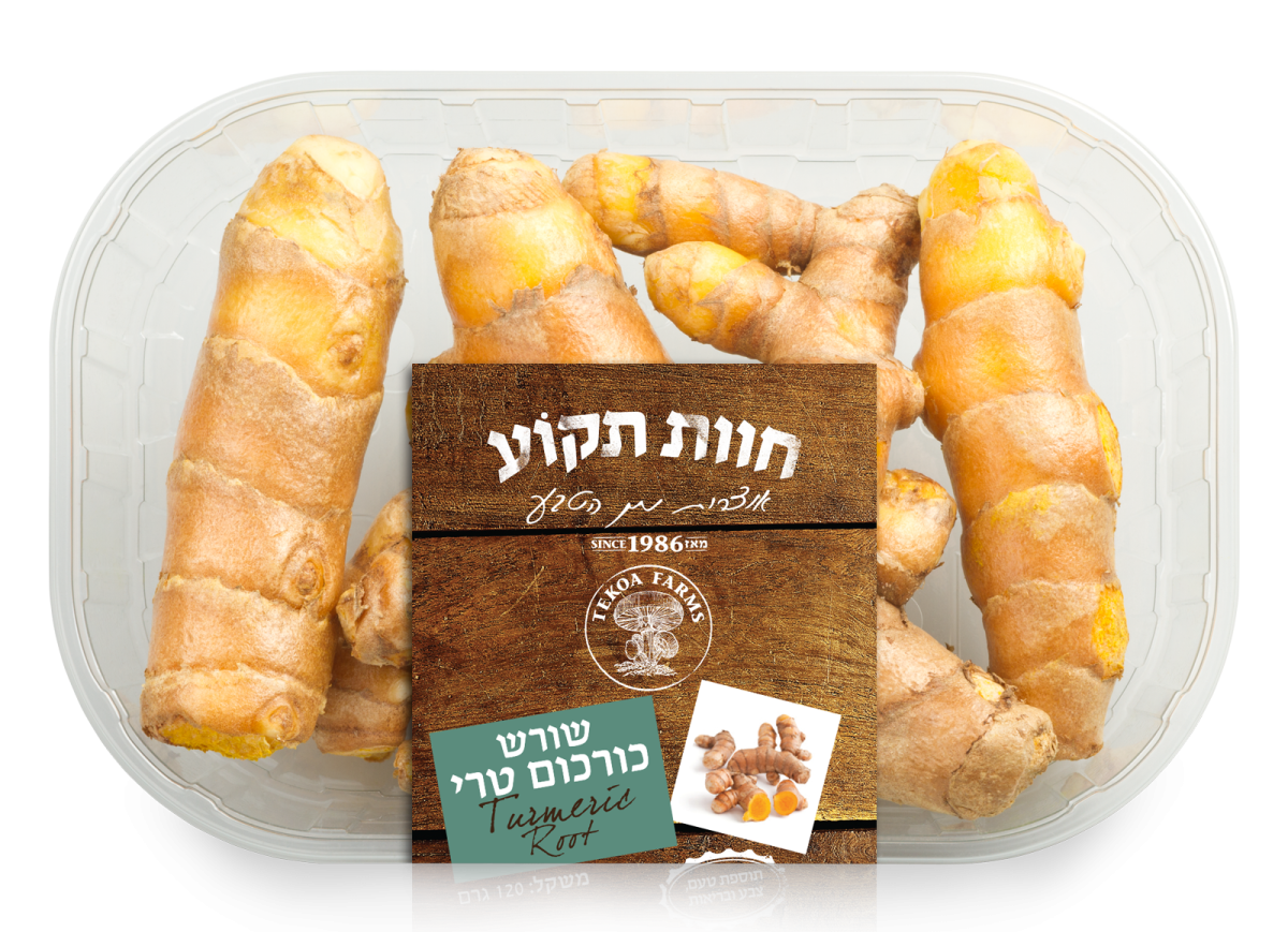 חדש: שורש כורכום טרי ובריא – בטעם עשיר שמשדרג כל תבשיל