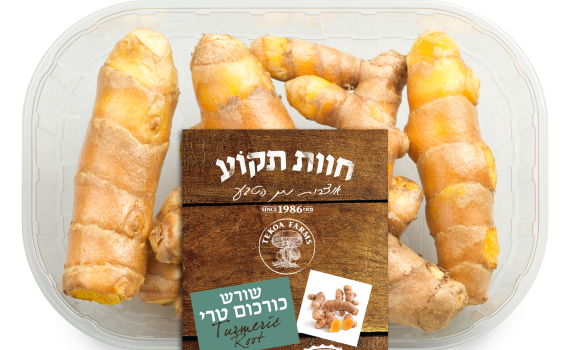 חדש: שורש כורכום טרי ובריא – בטעם עשיר שמשדרג כל תבשיל