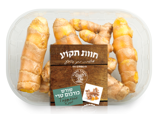 חדש: שורש כורכום טרי ובריא – בטעם עשיר שמשדרג כל תבשיל