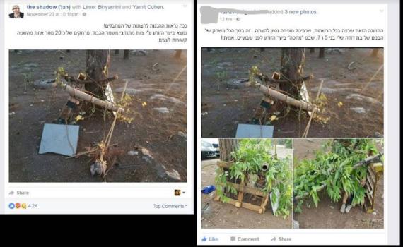 התמונה שכולם שיתפו התגלתה כמשחק ילדים