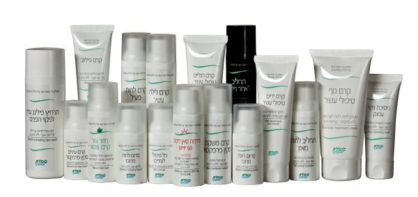 אסתטיקה לכל