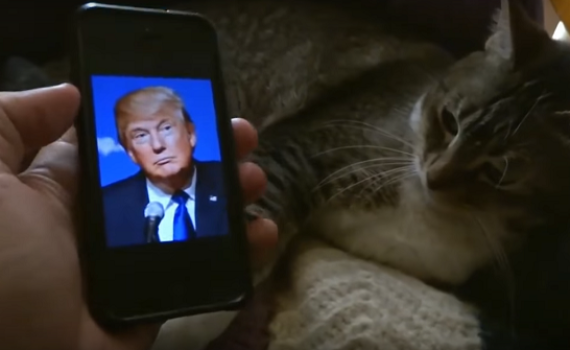 ויראלי: החיות ששונאות את דונלד טראמפ
