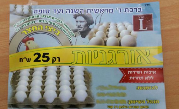 הביצים האורגניות בקרית ארבע הוברחו מהרשות