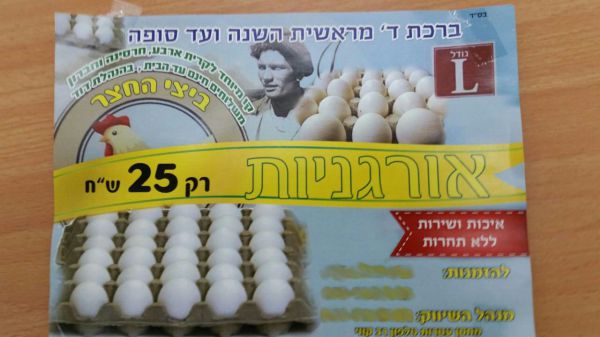 הביצים האורגניות בקרית ארבע הוברחו מהרשות