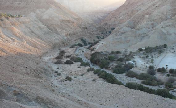 תלמידים ערבים יידו אבנים על תלמידים יהודים
