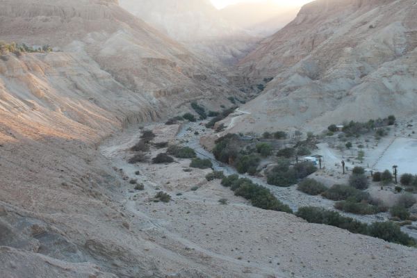 תלמידים ערבים יידו אבנים על תלמידים יהודים