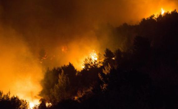 המדינה מכירה רק ב-9 שריפות כהצתות מכוונות