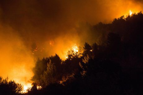 המדינה מכירה רק ב-9 שריפות כהצתות מכוונות