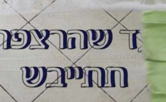 "עד שהרצפה תתייבש": 2 דקות על פרשת 'נח'