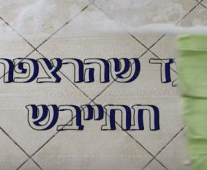 "עד שהרצפה תתייבש": 2 דקות על פרשת 'נח'