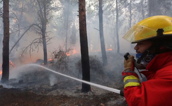השריפה בלטרון: במוקד הדליקה נמצאו נרגילות