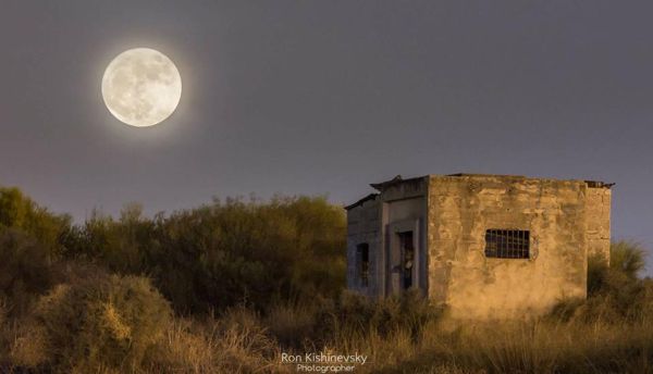 יפה כלבנה: 3 תופעות נדירות בירח יתרחשו הלילה
