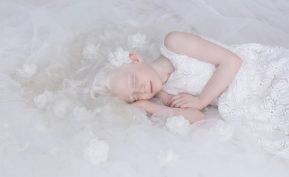 יפה כלבנה: תיעוד ייחודי של לבקנים מרחבי הארץ