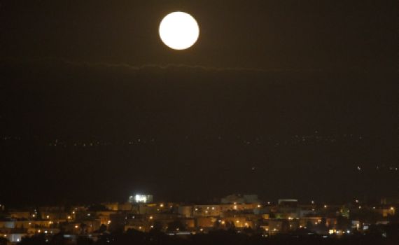 מחזה של פעם בחיים: את התופעה הזו אסור לפספס