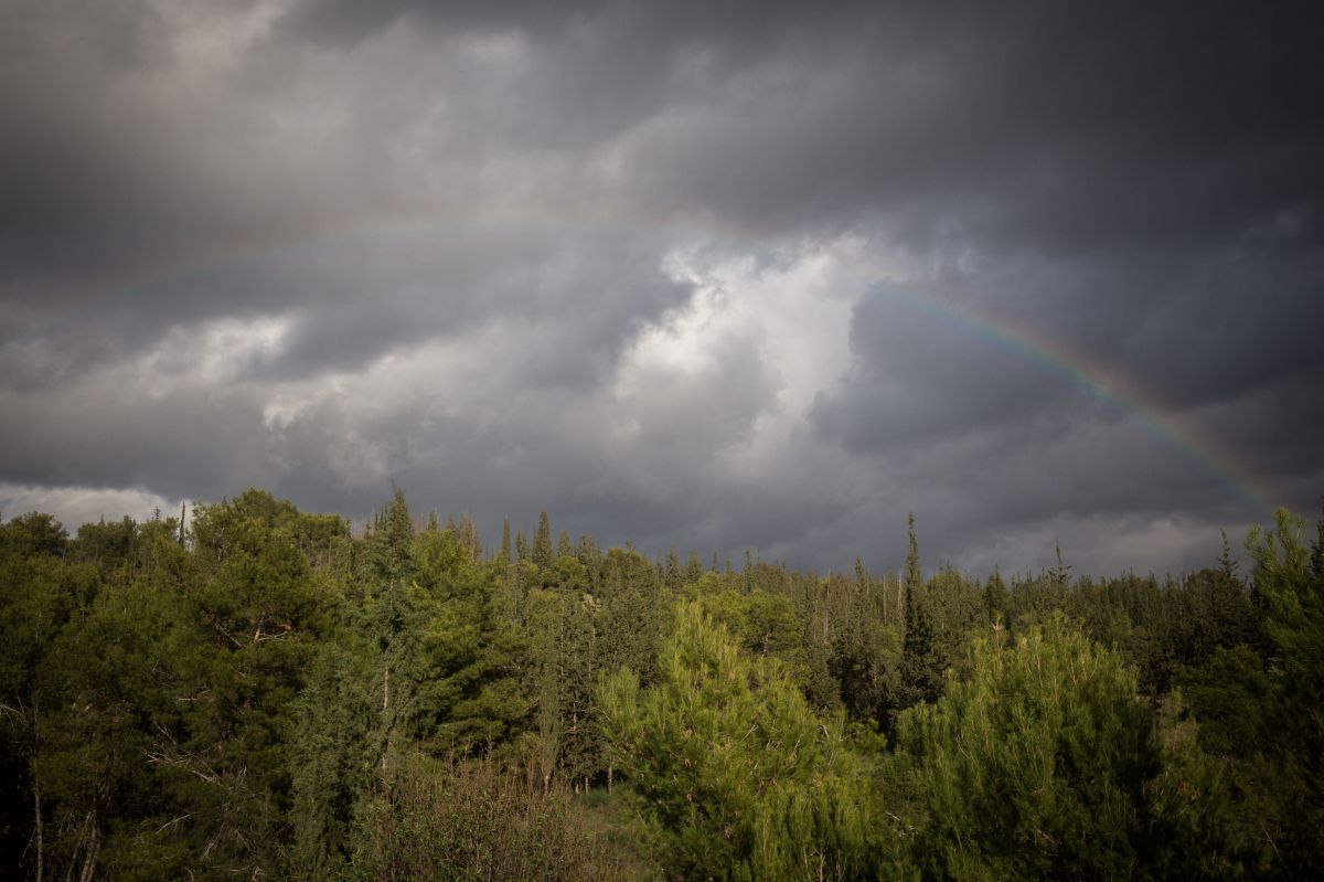 למרות האפרוריות לחודש חשוון יש מה למכור
