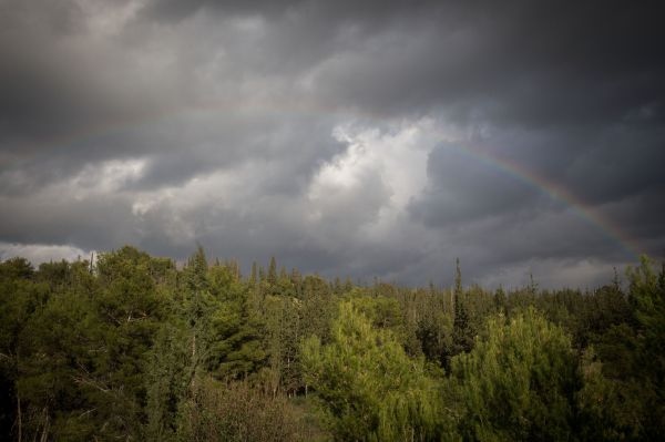 למרות האפרוריות לחודש חשוון יש מה למכור
