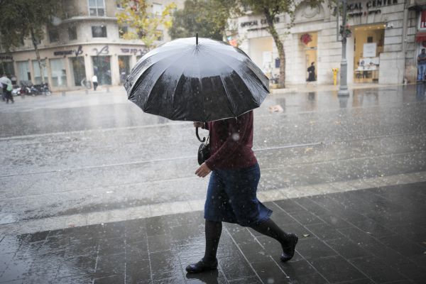 הלכות ברך עלינו ודיני מי ששכח להגיד ותן טל ומטר