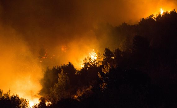 18 ערבים נעצרו; 90 מקרים חשודים כהצתה