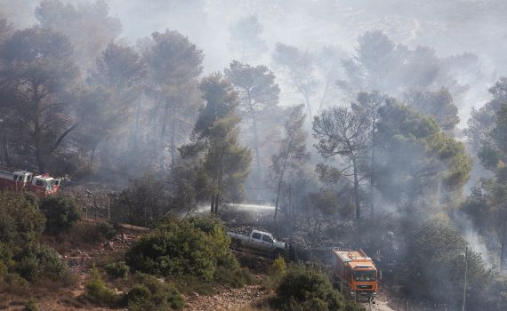 במהלך השבת: 45 בתים בנווה צוף נשרפו; מצית נתפס