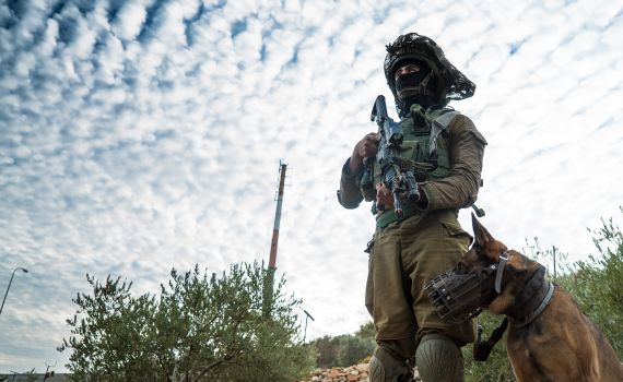 היום עוד יובש מסוכן; ממחר אפשרות לגשם