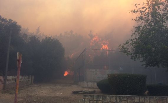 הלהבות אוחזות בבתים; תושבים פונו בזכרון יעקב