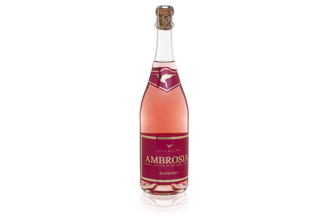 אור רייכרט לגם: אלכוהול כיפי וקופצני למתחילים