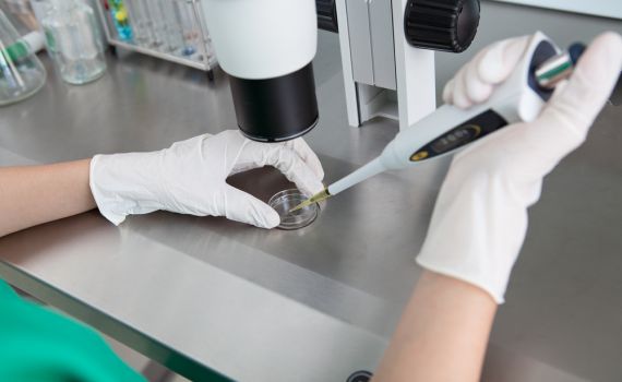 הדיינים הכריעו: למי שייכות הביציות המופרות