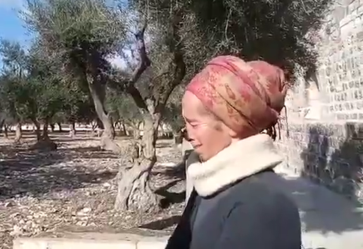 צפו: תמר ניזרי ממררת בבכי: "עסקה גרועה"