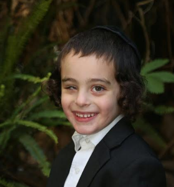 הילד בן ה-6 מירושלים אותר בסמוך לכפר חיזמא