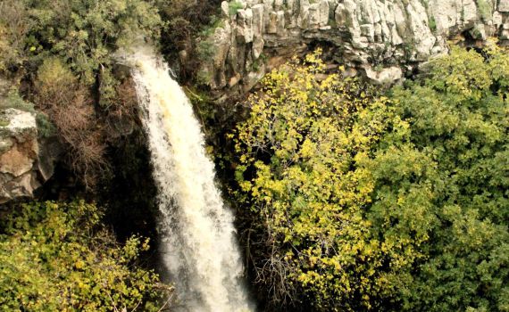 אחרי הסערה: הנחלים בגליל יפים מתמיד
