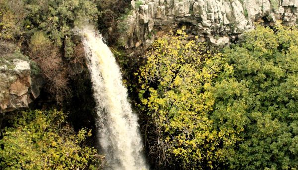 אחרי הסערה: הנחלים בגליל יפים מתמיד