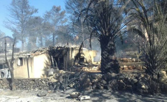 חודש ארגון בוער:ראיון עם הקומונרית של נווה צוף