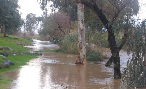 גשמי ברכה: השבוע נעבור את 50% מהממוצע העונתי